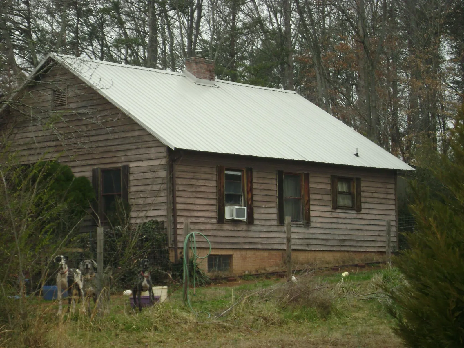 White metal roof on an old wood sided farmhouse, from a Metal Roof Installation job in Williamsville
